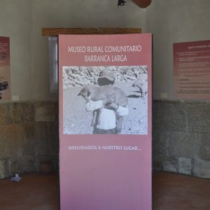 ALE TRABAJANDO