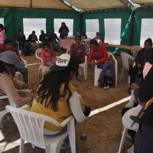 PIEDRANEGRA1-3ALE TRABAJANDO