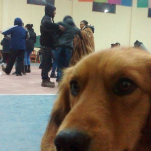 IMG-20160904-WA0023