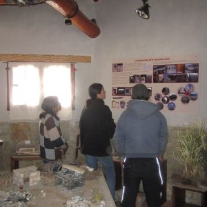 Muestra00011