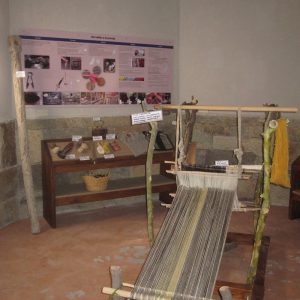 Muestra00013