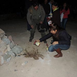 Muestra00023